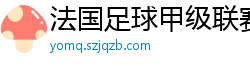 法国足球甲级联赛